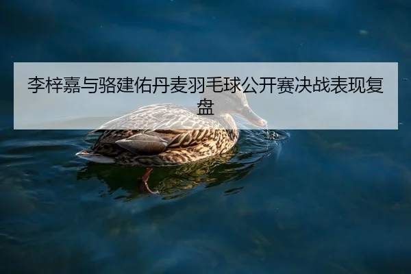 李梓嘉与骆建佑丹麦羽毛球公开赛决战表现复盘（kaiyun）